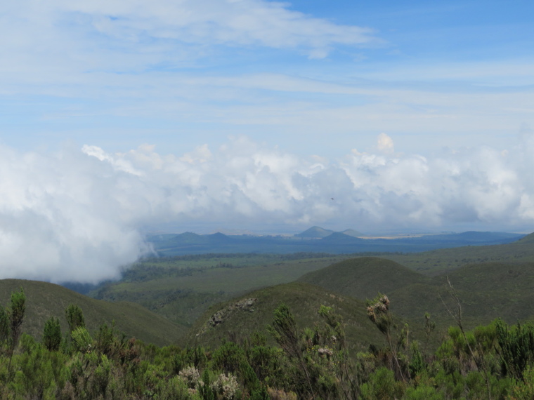 Tanzania Mount Kilimanjaro, Lemosho and Shira Routes  , Day 2, back down over giant heather hillsides. Cloud from south just stops, Walkopedia