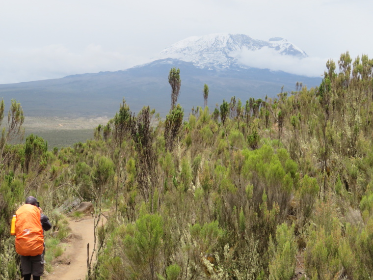 Tanzania Mount Kilimanjaro, Lemosho and Shira Routes  , Day 2, Shira plateau lip, first Kibo view, Walkopedia