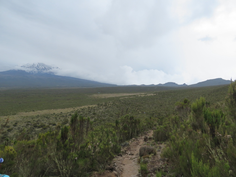 Tanzania Mount Kilimanjaro, Lemosho and Shira Routes  , Day 2, Shira plateau, Walkopedia