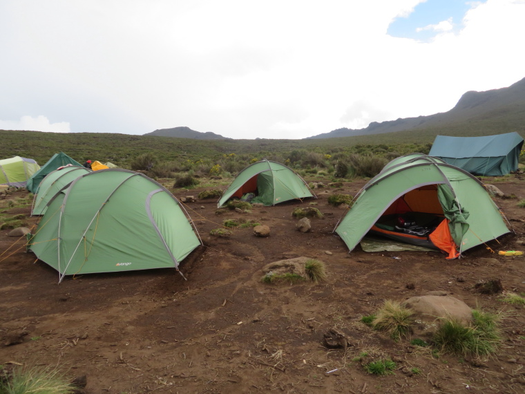 Tanzania Mount Kilimanjaro, Lemosho and Shira Routes  , Shira 1 camp, Walkopedia