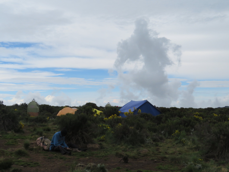 Tanzania Mount Kilimanjaro, Lemosho and Shira Routes  , Shira 1 camp, Walkopedia