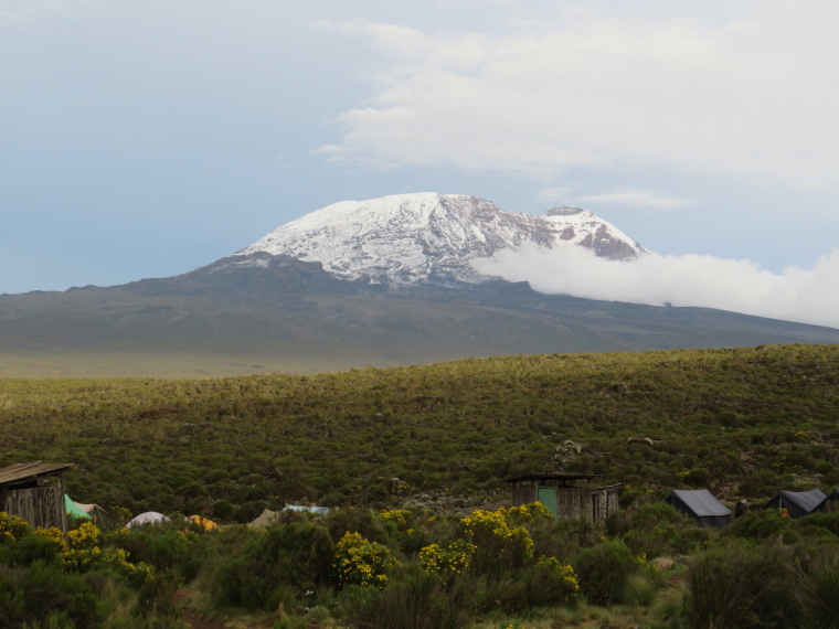 Lemosho and Shira Routes  
Shira 1 camp - © William Mackesy