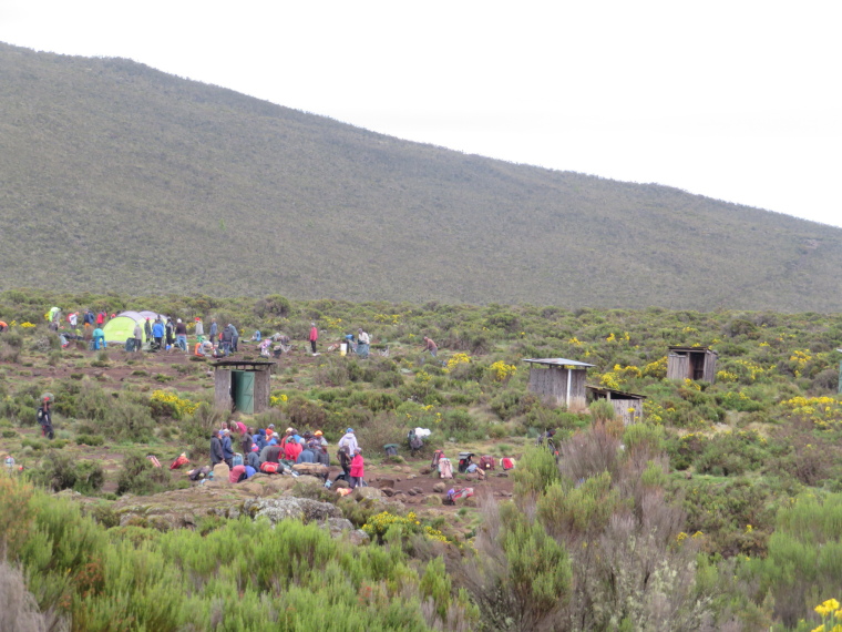 Tanzania Mount Kilimanjaro, Lemosho and Shira Routes  , Striking Shira 1 camp, Walkopedia