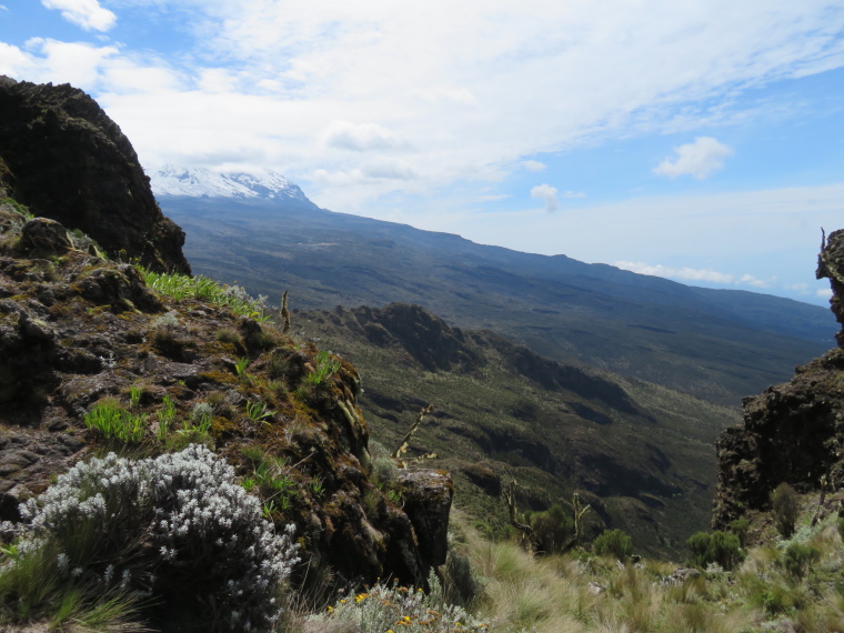 Tanzania Mount Kilimanjaro, Lemosho and Shira Routes  , Day 3, looking along southern Kili slopes from Shira Cathedral walk, Walkopedia