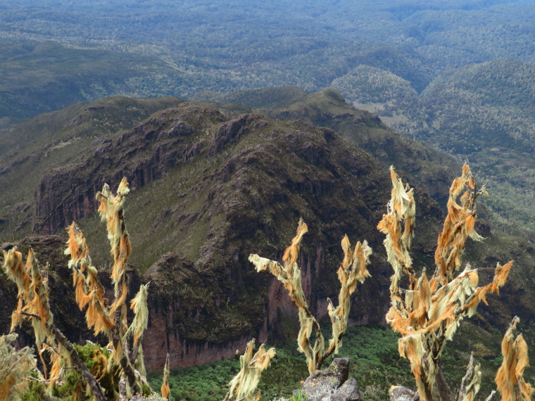 Tanzania Mount Kilimanjaro, Lemosho and Shira Routes  , Day 3,  from Shira Cathedral, Walkopedia