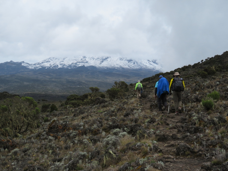 Tanzania Mount Kilimanjaro, Lemosho and Shira Routes  , Day 3,  north of Shira Cathedral, Walkopedia