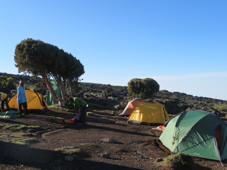 Tanzania Mount Kilimanjaro, Lemosho and Shira Routes  , Shira 2 camp, Walkopedia