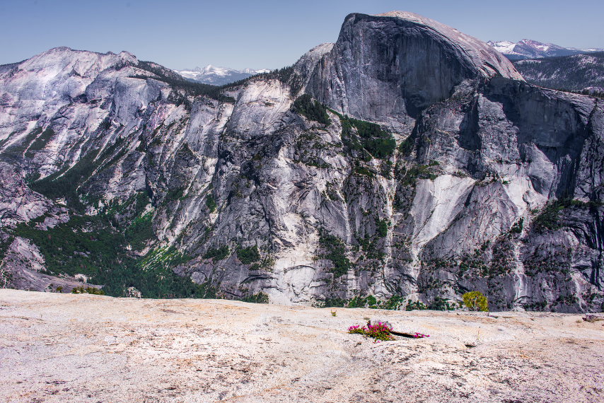 USA California Yosemite, North Dome, Half Dome from N Dome, Walkopedia