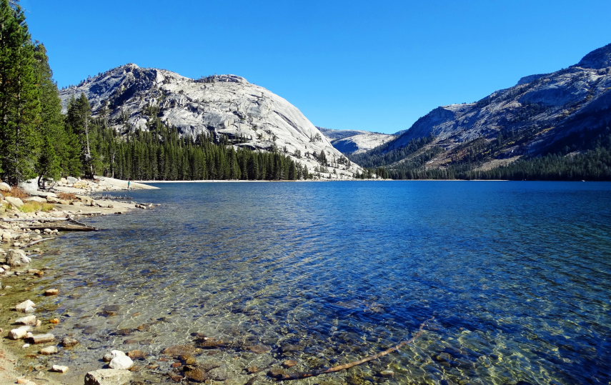 USA California Yosemite, Off Tioga Road, Crystal Clear Tenaya Lake , Walkopedia