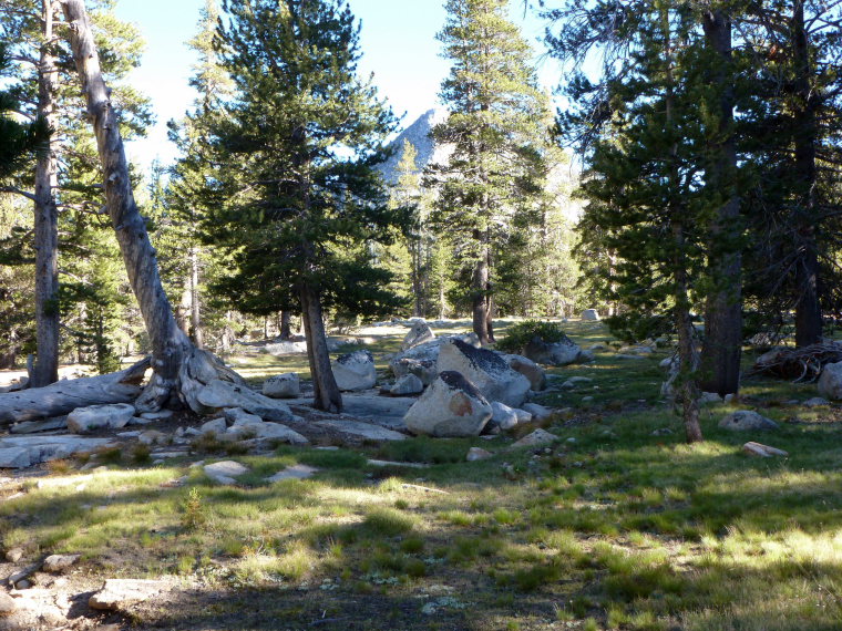 USA California Yosemite, Tuolunme Meadows Area , Lyell Canyon, Walkopedia