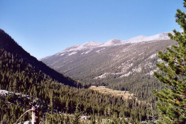 USA California Yosemite, Tuolunme Meadows Area , Lyell Canyon , Walkopedia