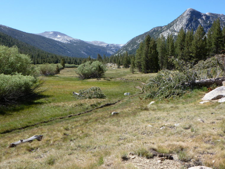 USA California Yosemite, Tuolunme Meadows Area , Lyell Canyon, Walkopedia