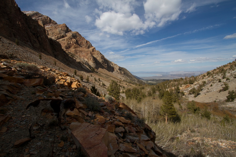 USA California Yosemite, Tuolunme Meadows Area , Mono Pass Trail , Walkopedia