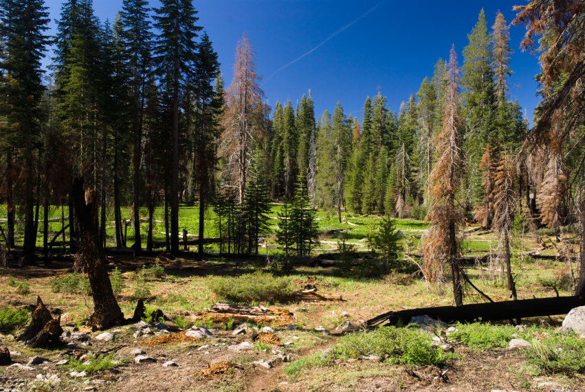 USA California Yosemite, Hetch Hetchy Area, Beehive meadow , Walkopedia