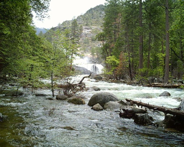 USA California Yosemite, Hetch Hetchy Area, View of falls from Rancheria Campground , Walkopedia