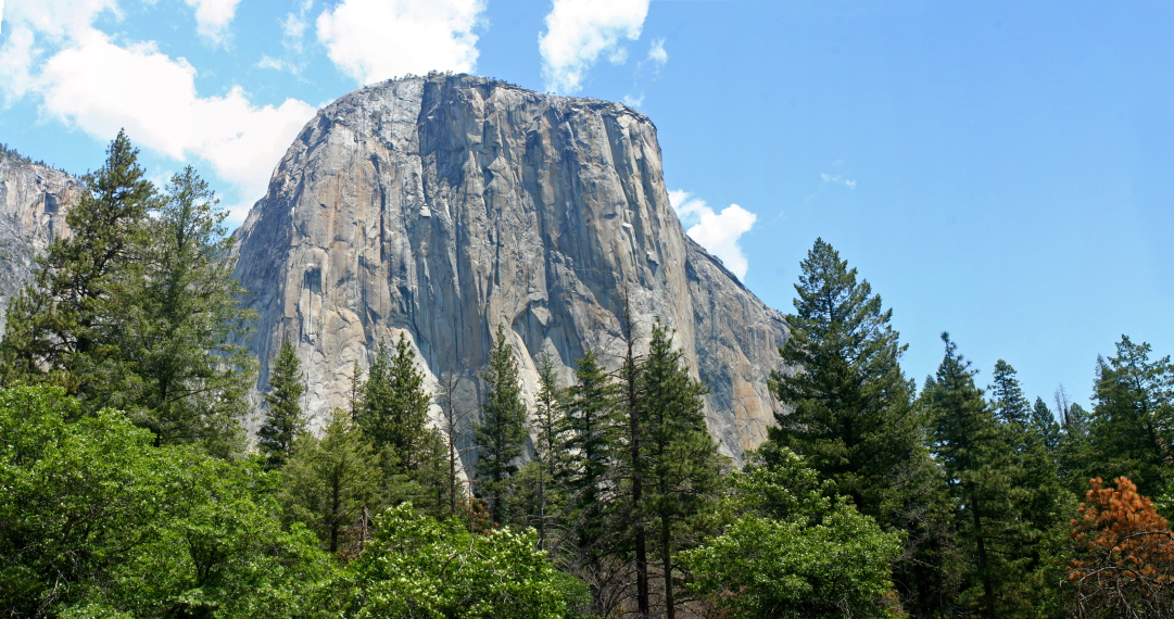 USA California Yosemite, El Capitan, , Walkopedia