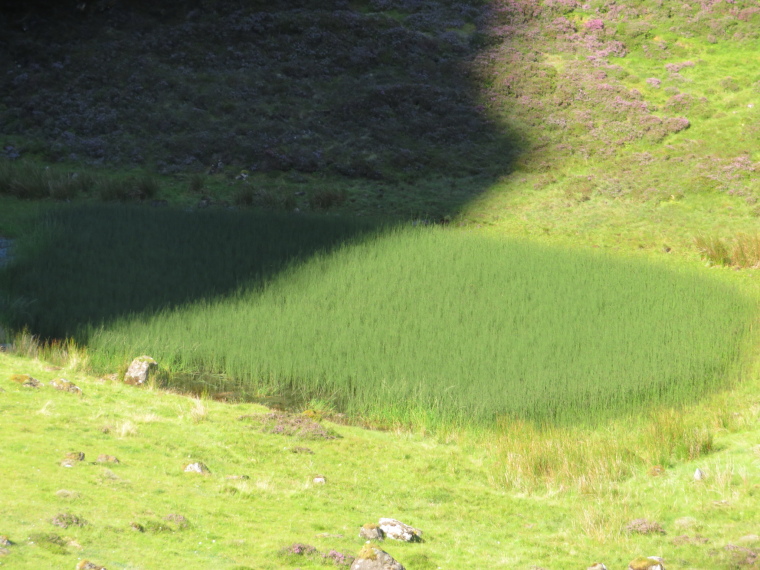 United Kingdom Scotland Isles Skye, Quiraing, , Walkopedia