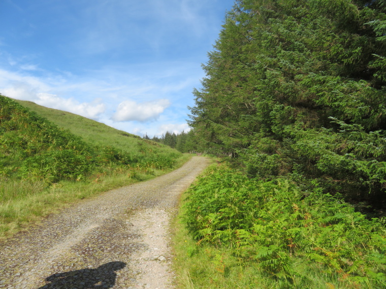 United Kingdom Scotland SW Highlands, Bridge of Orchy to Kingshouse, Rannoch Moor, , Walkopedia