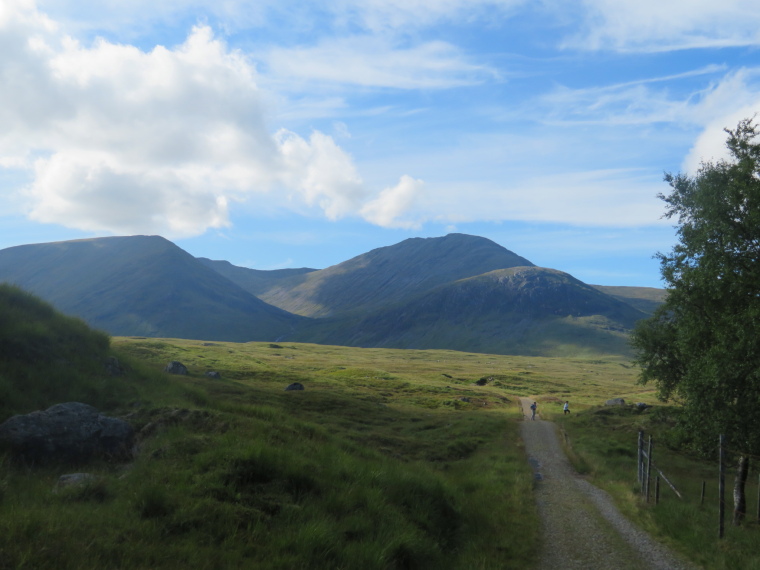 United Kingdom Scotland SW Highlands, Bridge of Orchy to Kingshouse, Rannoch Moor, Perfect walking on upper fringe of Rannock Moor, Walkopedia