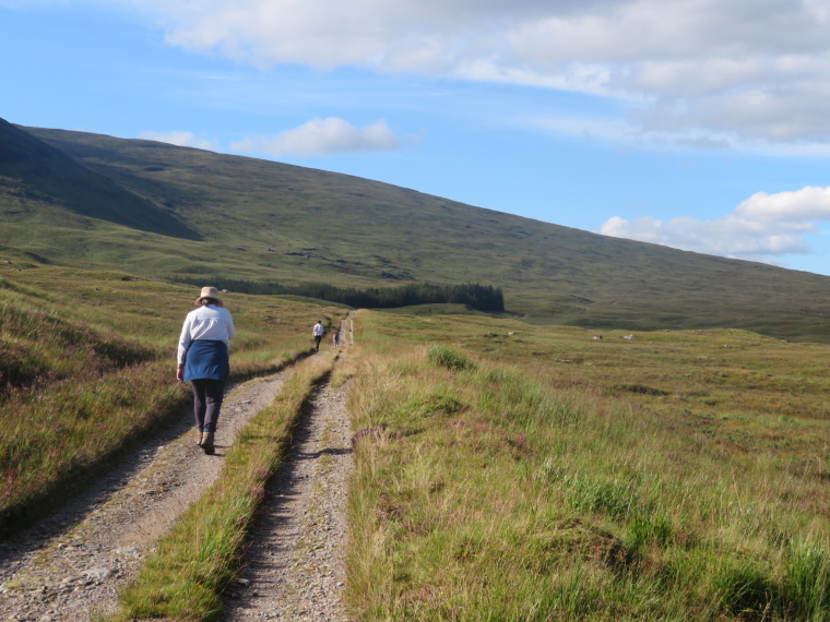 United Kingdom Scotland SW Highlands, Bridge of Orchy to Kingshouse, Rannoch Moor, , Walkopedia