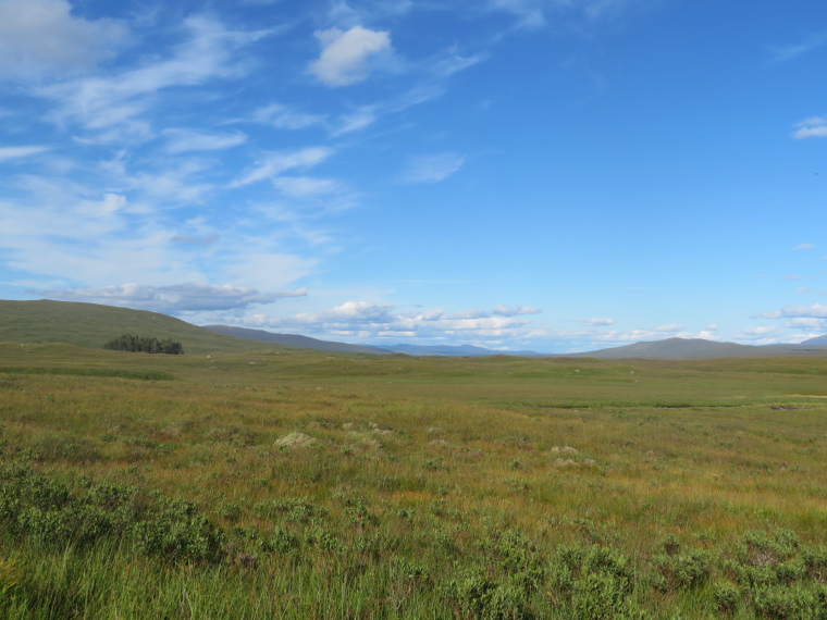 United Kingdom Scotland SW Highlands, Bridge of Orchy to Kingshouse, Rannoch Moor, Towards Rannoch Moor, Walkopedia