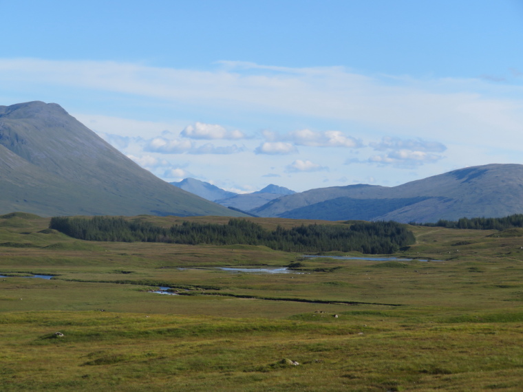 United Kingdom Scotland SW Highlands, Bridge of Orchy to Kingshouse, Rannoch Moor, , Walkopedia