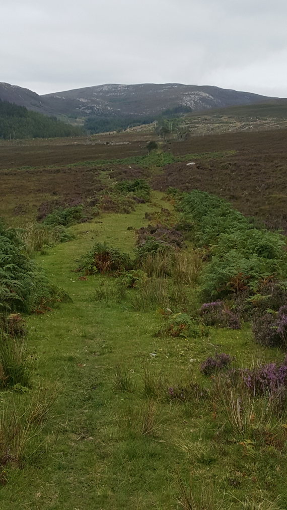 United Kingdom Scotland Isles Skye, Raasay, North along lower Burma Rd, Walkopedia