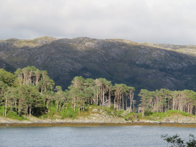 United Kingdom Scotland NW Highlands Ardnamurchan,  Silver Walk, , Walkopedia