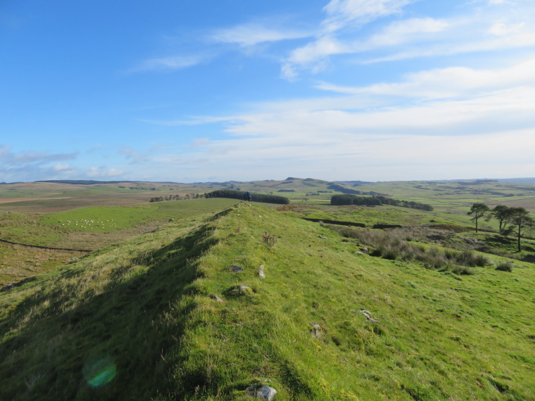 United Kingdom England Hadrian's Wall, Cawfields to Birdoswald, Huge country, looking east fm west of Great Chesters fort, Walkopedia