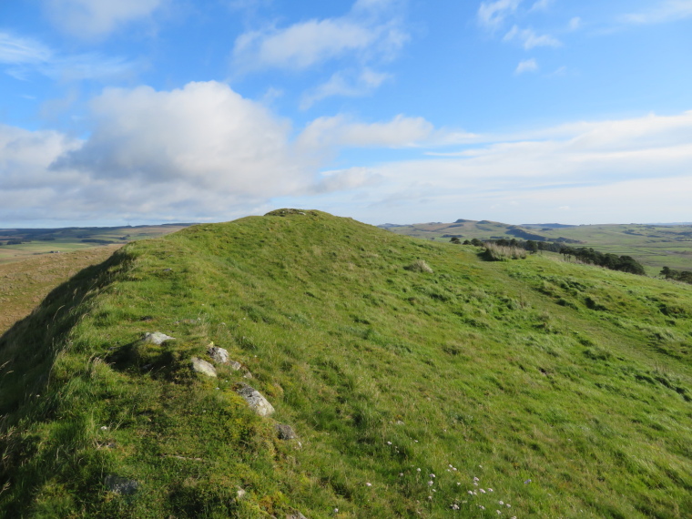 United Kingdom England Hadrian's Wall, Cawfields to Birdoswald, , Walkopedia