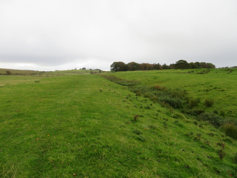 United Kingdom England Hadrian's Wall, Cawfields to Birdoswald,  West of Birdoswald, Walkopedia