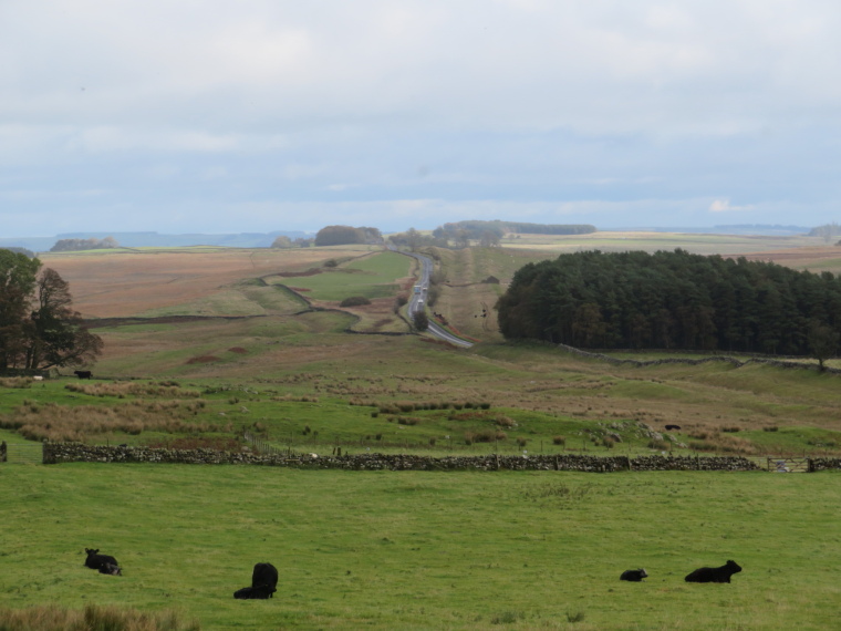 United Kingdom England Hadrian's Wall, Sewingshields to Cawfields,  Looking east from Sewingshields base, Walkopedia