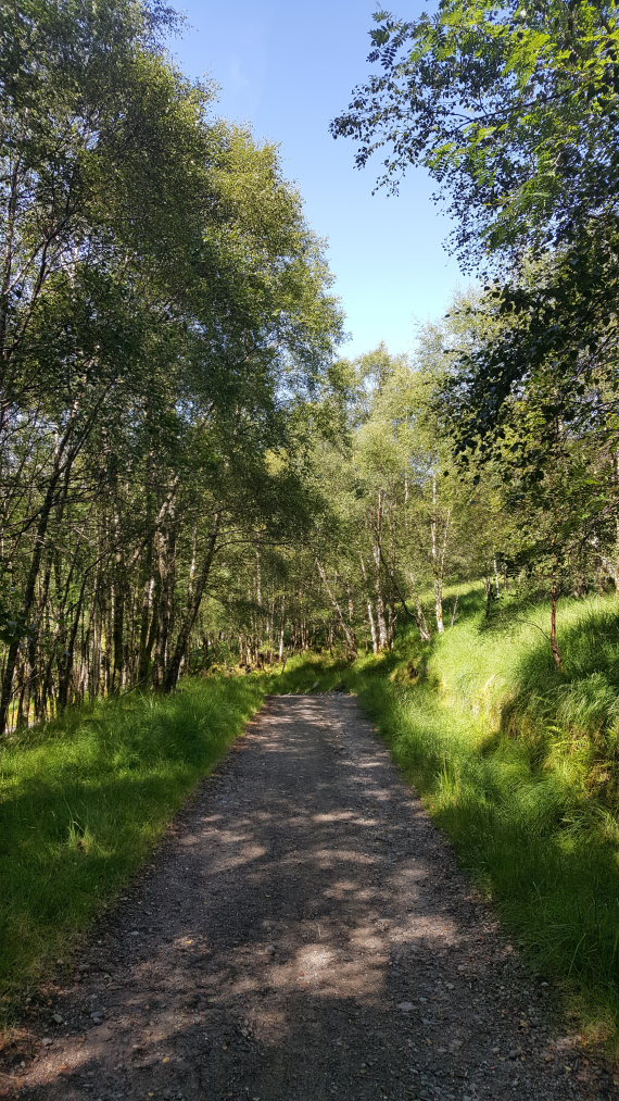 United Kingdom Scotland SW Highlands, Kingshouse to Kinlochleven, , Walkopedia