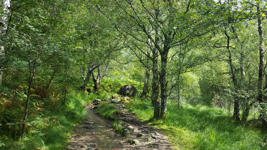 United Kingdom Scotland SW Highlands, Upper Glen Nevis , , Walkopedia