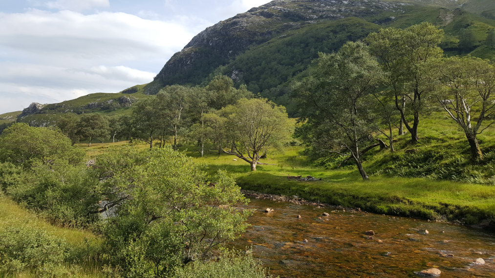 United Kingdom Scotland SW Highlands, Upper Glen Nevis , , Walkopedia