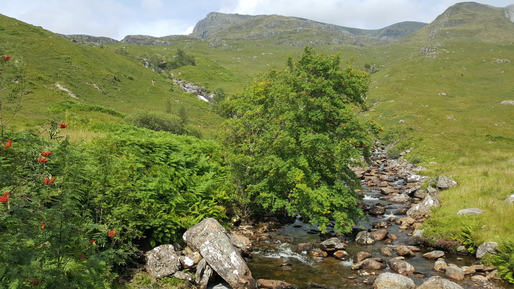 United Kingdom Scotland SW Highlands, Upper Glen Nevis , , Walkopedia