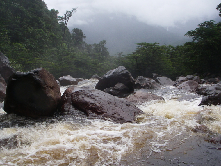 Venezuela Canaima NP, Canaima NP, Bottom of Angel Falls looking away , Walkopedia