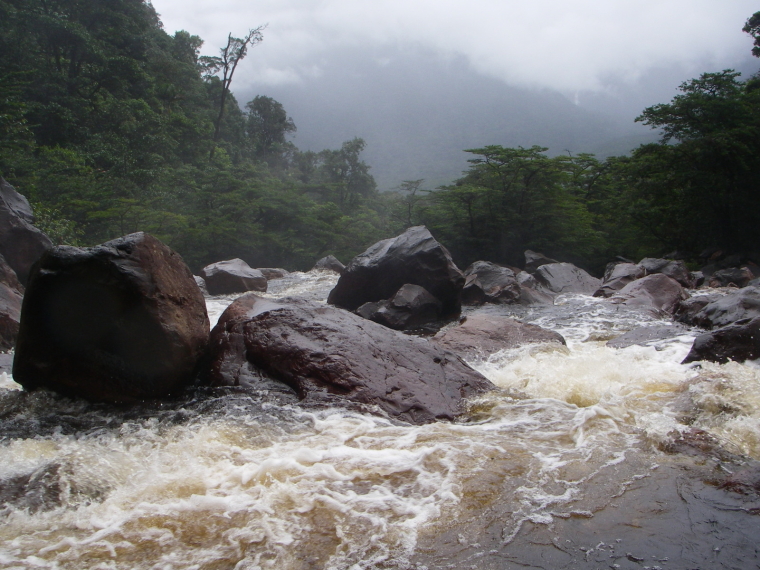 Venezuela Canaima NP, Angel Falls, Bottom of Angel Falls looking away , Walkopedia