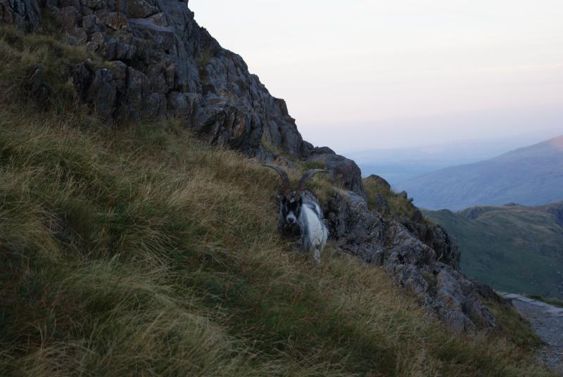 United Kingdom Wales Snowdonia, Crib Goch Ridge, , Walkopedia