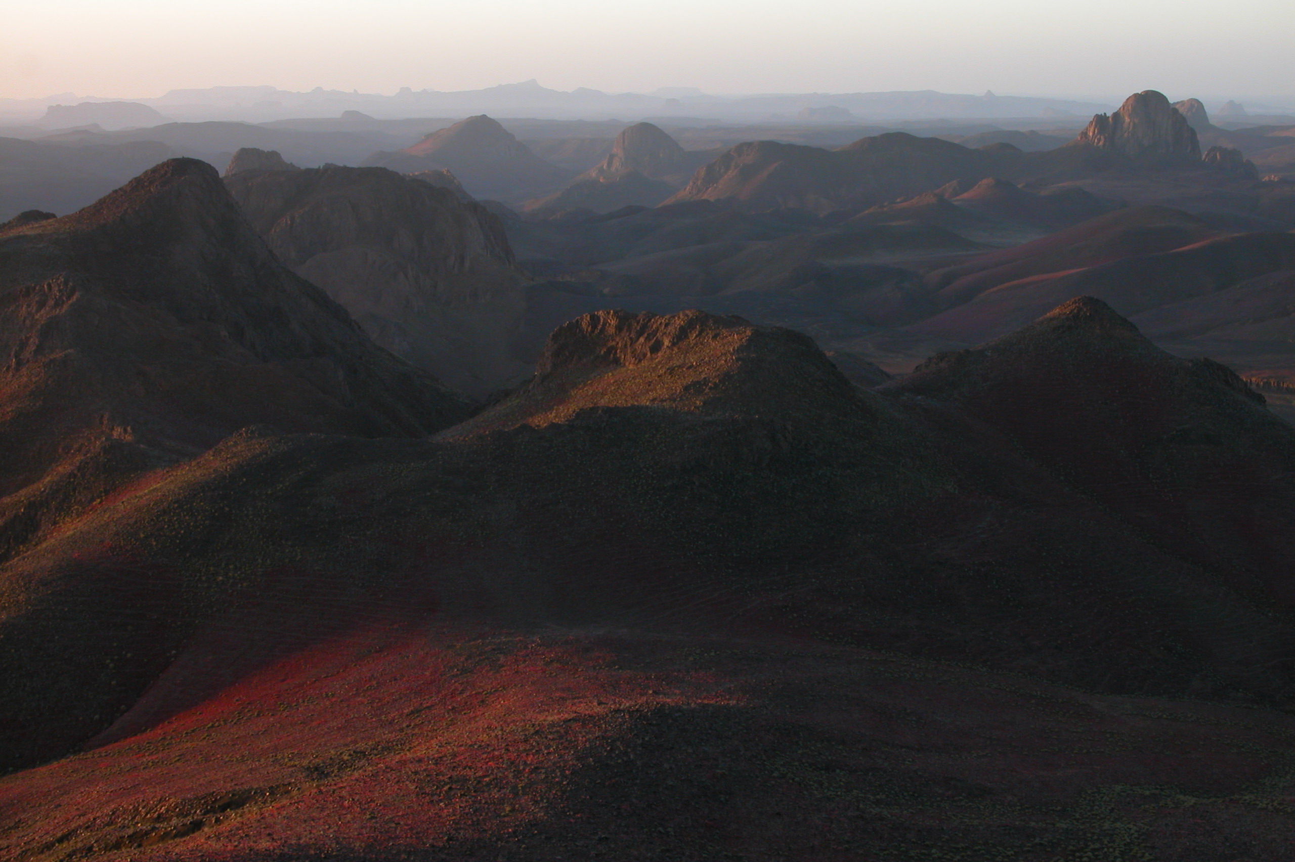 Algeria South, Hoggar Mountains, Flowers in the Hoggar Mountains, Walkopedia