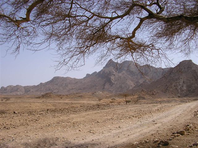 Algeria South, Hoggar Mountains, Tamenrasset, Walkopedia