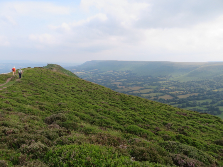 United Kingdom Wales Black Mountains, Black Hill Ridge, Black Hill ridge heather, Walkopedia