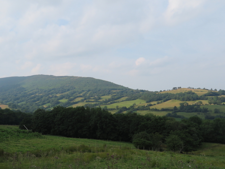 United Kingdom Wales Black Mountains, Black Hill Ridge, Deceptively ordinary looking Black Hill ridge from Black Mountain flank, Walkopedia