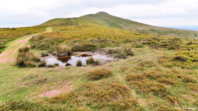 United Kingdom Wales Black Mountains, Sugarloaf, , Walkopedia