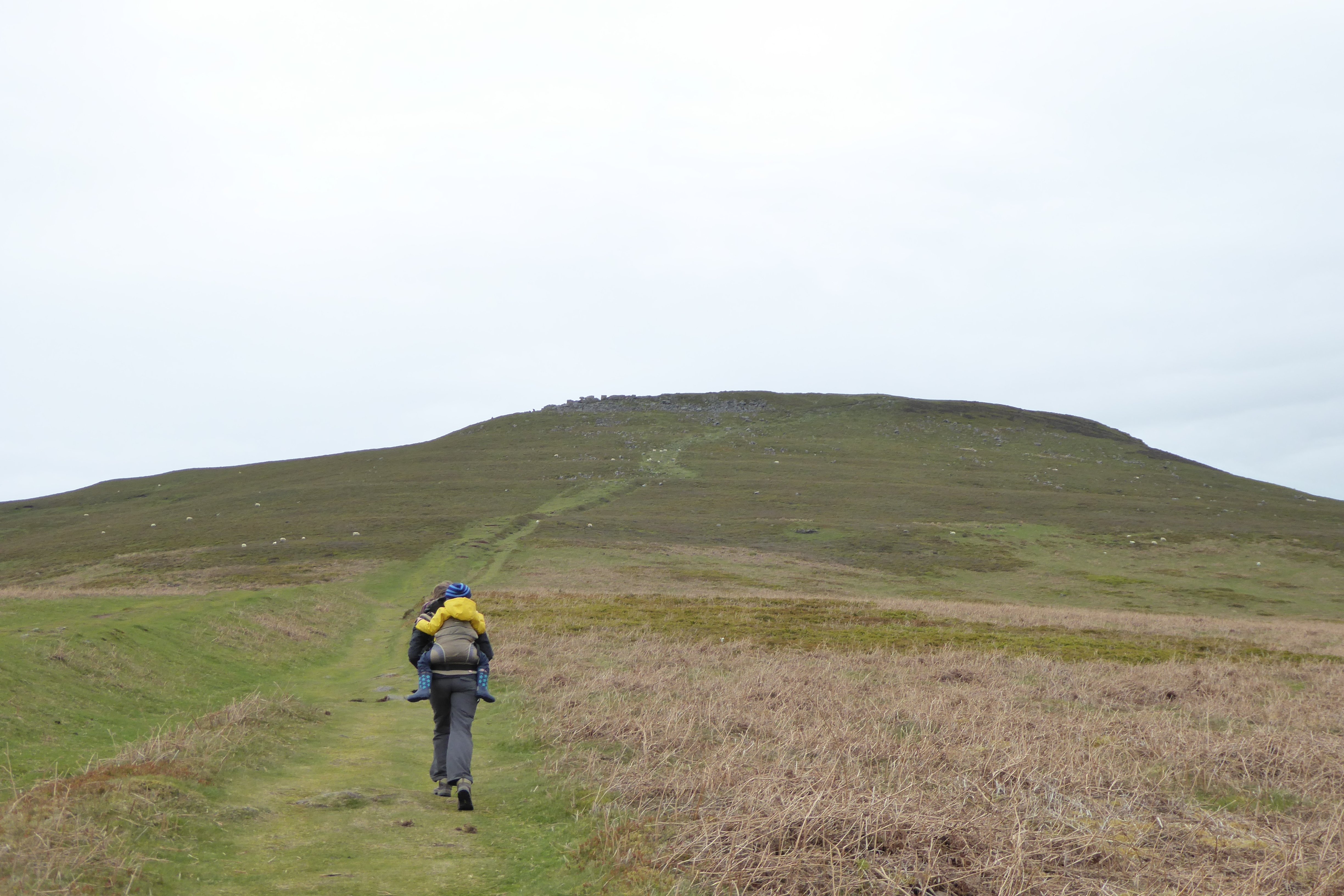 United Kingdom Wales Black Mountains, Sugarloaf, Heading up the Sugarloaf, Walkopedia