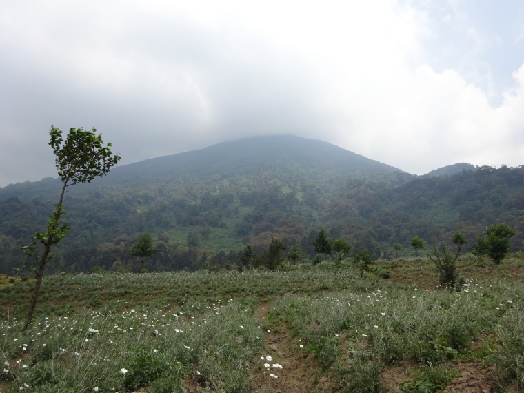 Rwanda, Virunga Mountains, Mount Bisoke, Walkopedia