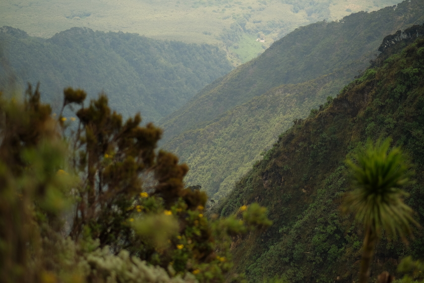 Rwanda, Virunga Mountains, Mt Sabyinyo, Walkopedia