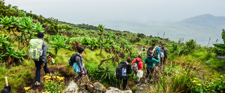 Rwanda, Virunga Mountains, Virunga National Park, Walkopedia