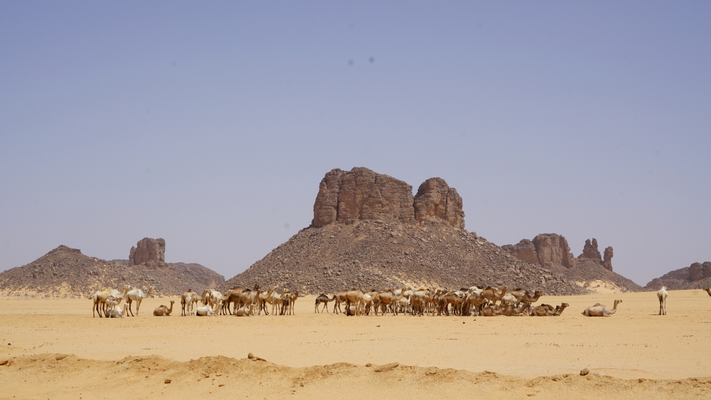 Algeria, Tassili N Ajjer, Tassili N'Ajjer National Park, Walkopedia