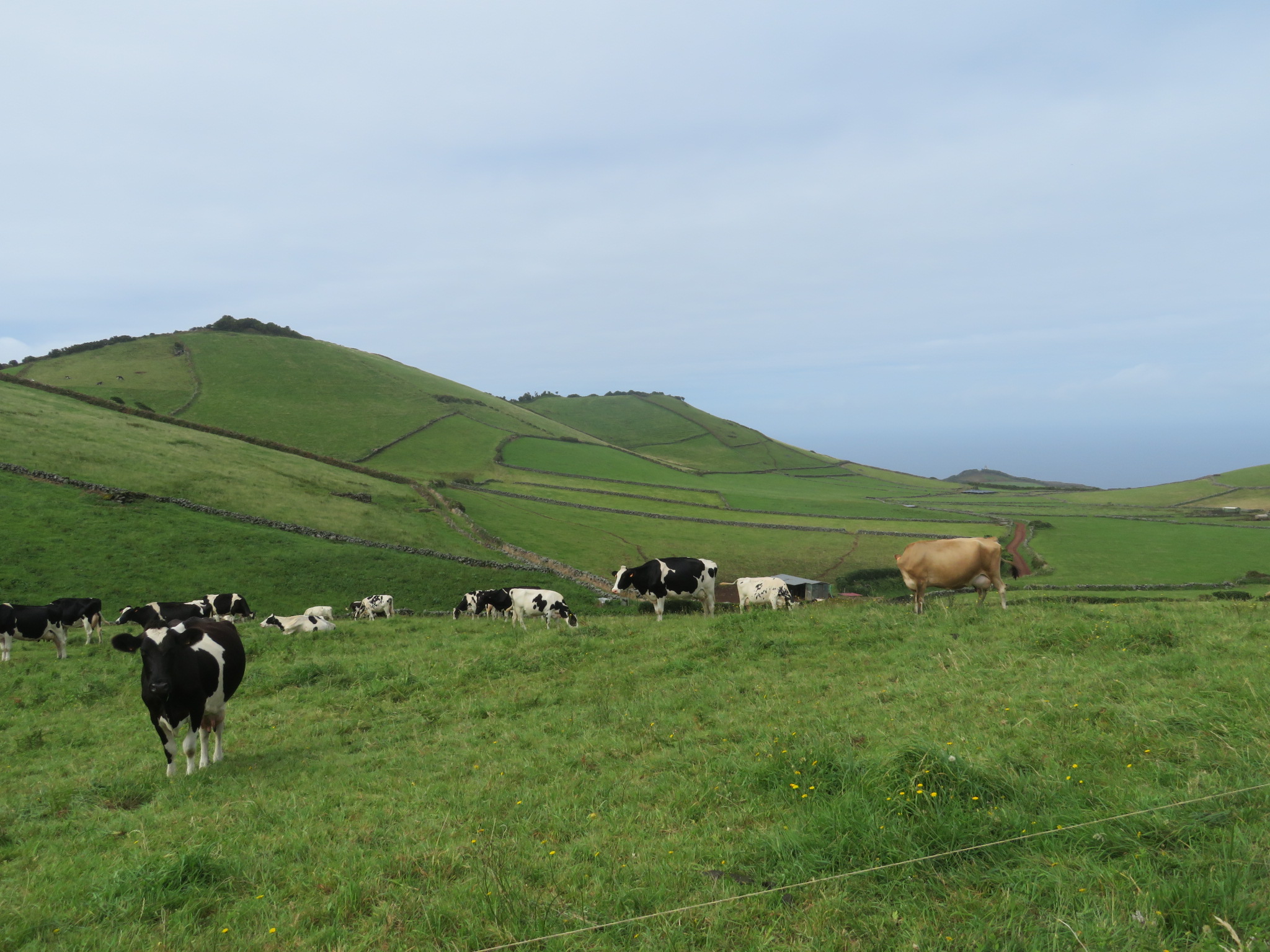 Portugal Azores Sao Jorge, Rosais Cape, along the middle of the peninsula, Walkopedia